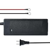 DC HOUSE 14.8V 10A LiFePO4 Lithium Battery Charger, 150W Fast Charger, Suitable for 12V Boat Mari...