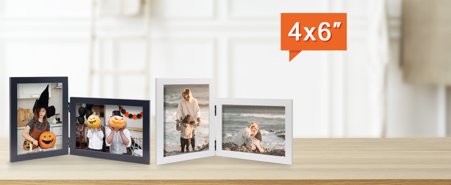 4x6 double picture frame
