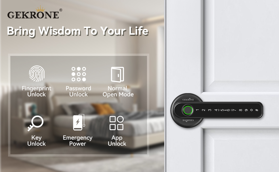 Fingerprint Smart Lever Lock