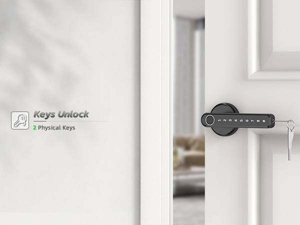 fingerprint door lock