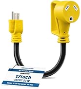 DEWENWILS 15 Amp to 30 amp RV Adapter Cord 12 Inch, NEMA 5-15P Male to TT-30R Female, 10AWG STW E...