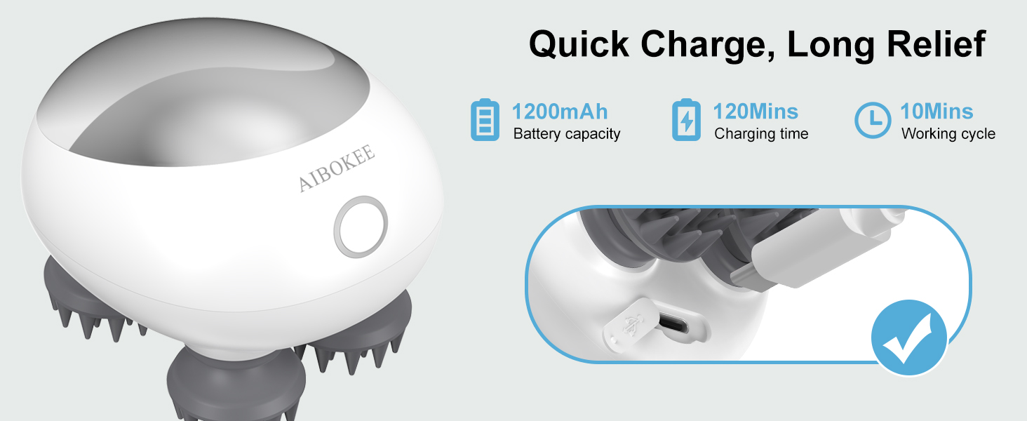 Electric Scalp Massager Silver