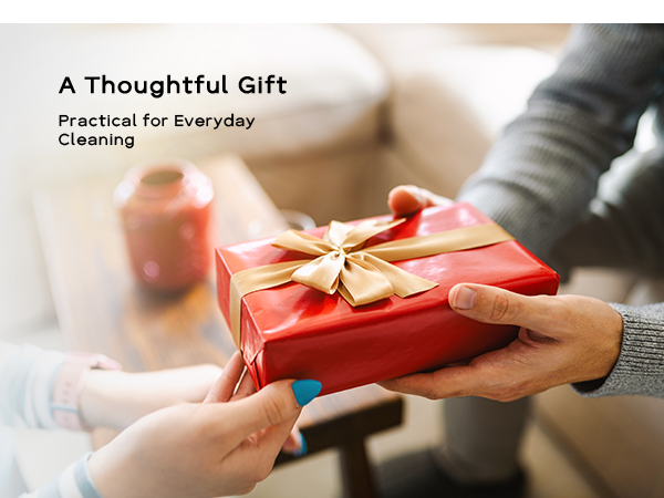 Electric Spin Scrubber gift