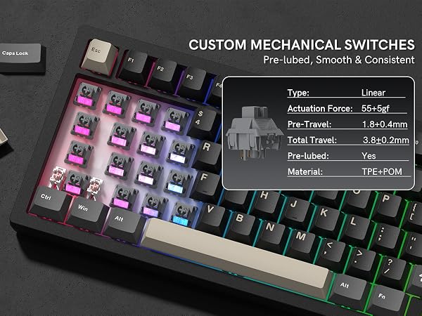 SWITCHES