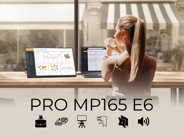 PRO MP165 E6 Portable Monitor