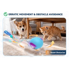 Erractic Movement &amp;amp; Obastacle Avoidance
