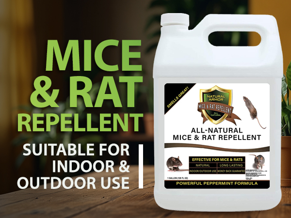 peppermint spray for mice
