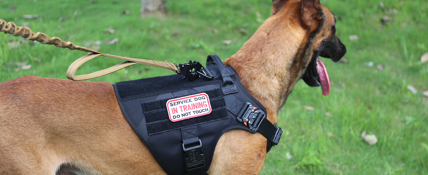 dog vest metal clip