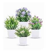 Der Rose 4 Packs Small Fake Plants Mini Artificial Faux Plants with Flowers for Home Room Farmhou...