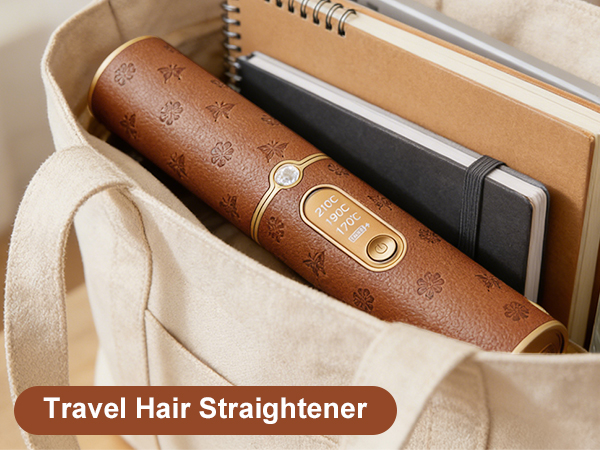 Travel Hair Straightener