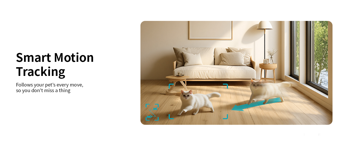 indoor cameras for home;dog camera with phone app;indoor security camera;wifi camera;