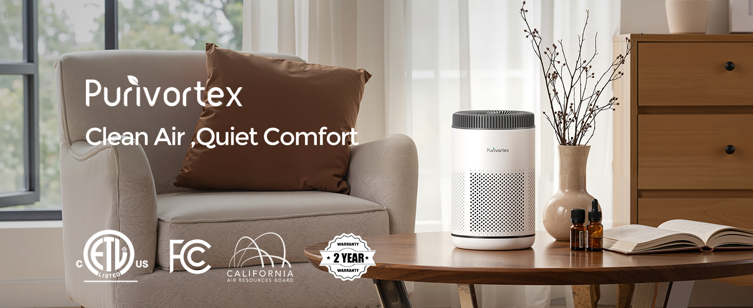 mini air purifier