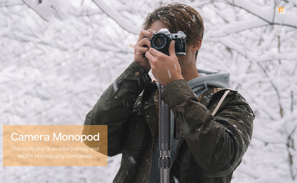 Monopod for Camera, 32mm Tube Carbon Fiber Monopod Unipod Stick Lightweight Portable Travel Monopod