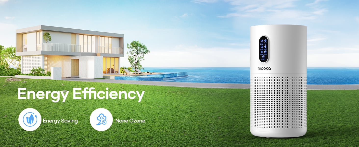 evergy saving air purifier