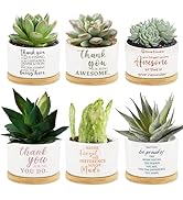Tarklanda 6 Pcs Succulent Pots Thank You Gift Mini Ceramic Succulent Planters Pots with Bamboo Tr...