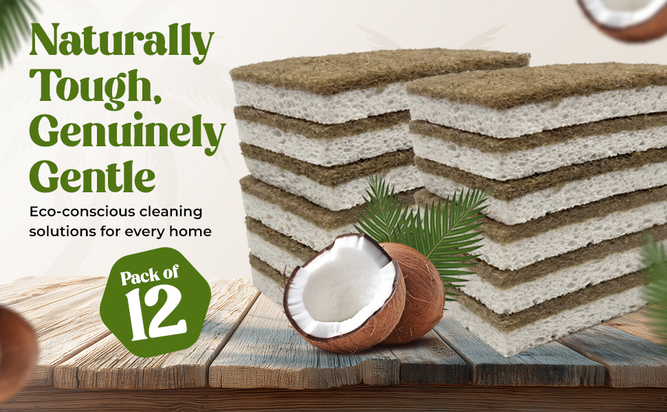 kitchen sponges sponges plant based sponges sponges kitchen natural kitchen sponges