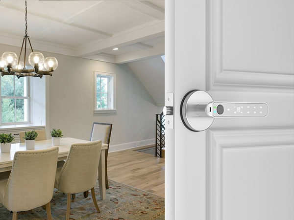 Door Handle with Keypad