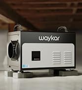 Waykar
