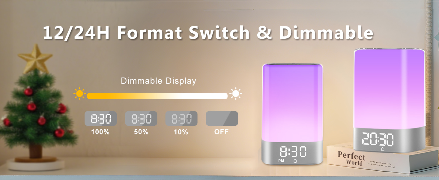 12/24H Format Switch &amp;amp; Dimmable display