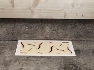 heavy duty centipede glue board