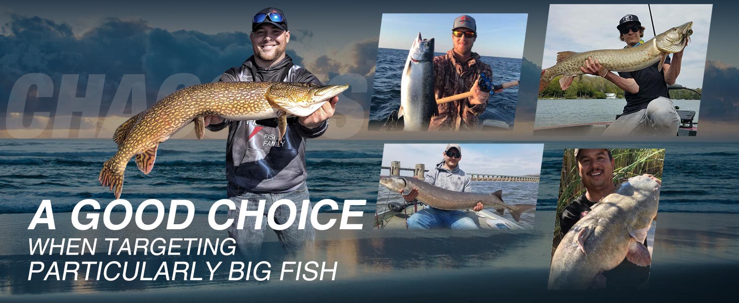 fishing baitcasting reel