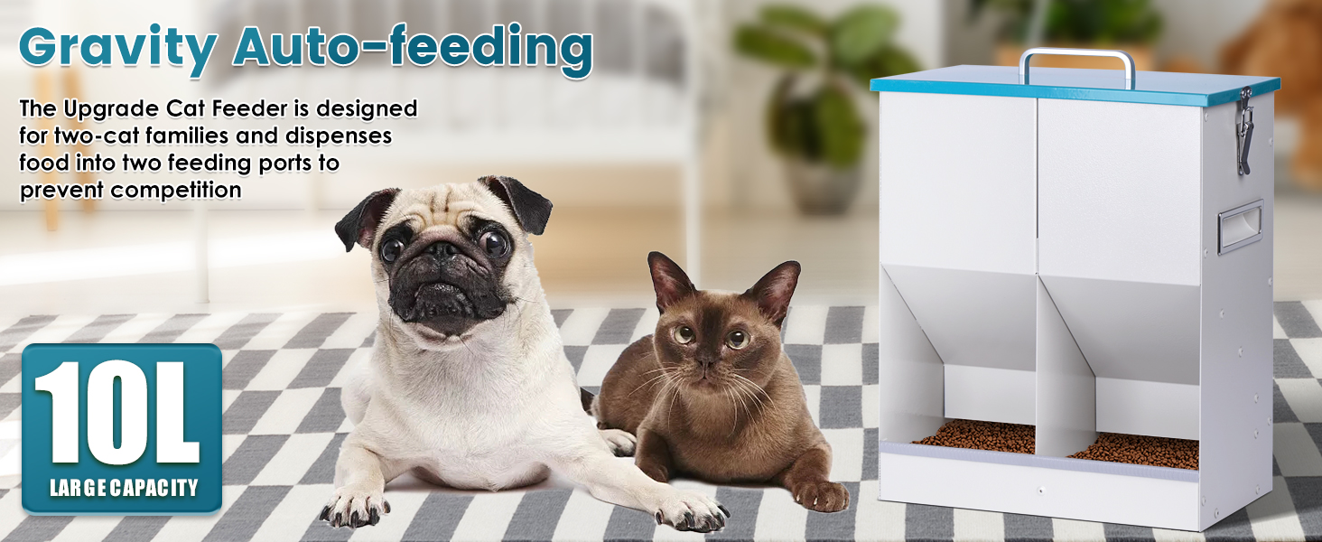 automatic cat feeder for 2 cat pet dog