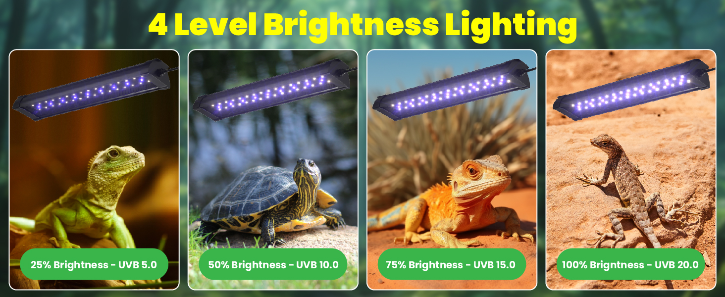 uvb light for reptiles