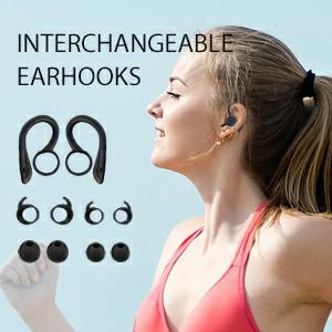 interchangeble earhooks