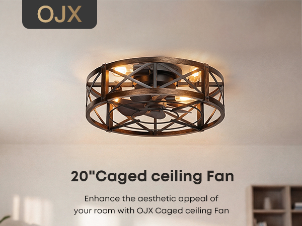 Caged Ceiling Fan with Light and Remote