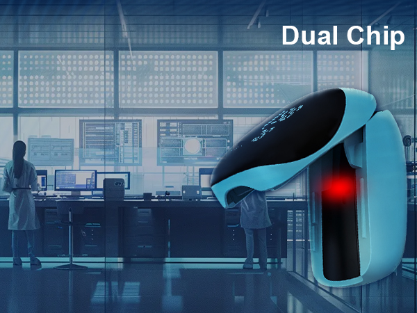 dual chip