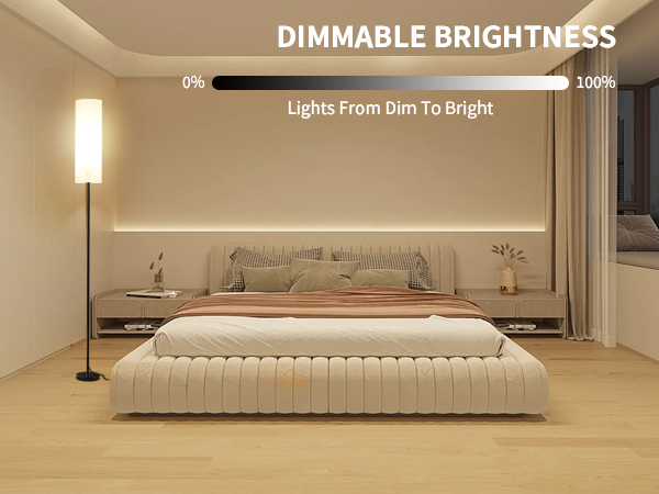 dimmable Floor Lamp