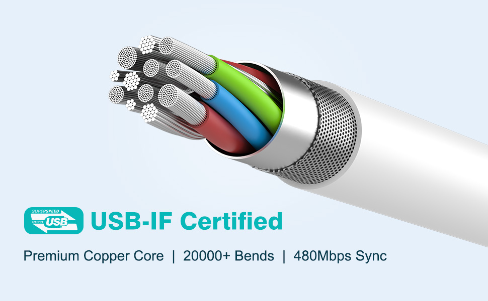 6.6ft usb c to c cable