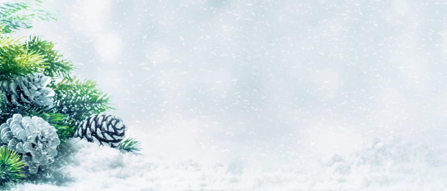 Heated Veset Jacket for Men