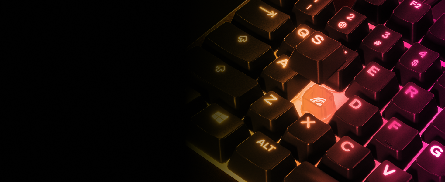 - Apex 3 TKL RGB keyboard