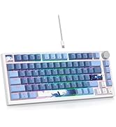 75% Wired Keyboard with Knob, 75 Percent Gaming Keyboard Hot Swappable Gasket Mount,Red Switch,RG...