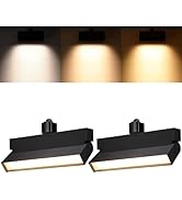 LEONLITE 3CCT 24W Dimmable LED Track Lighting Heads, for H Type Track Rails, 100-277V, 2700K/3000...