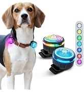 PAJ Light MINI 2-Pack LED Dog Light for Night Walking – Rechargeable USB-C, Clip-On Safety Light ...