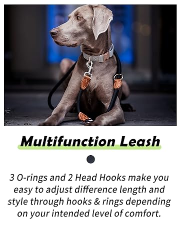 Multifunction Leash
