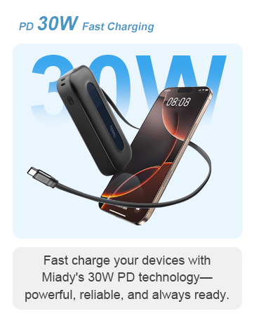 Fast Charging Power Bank