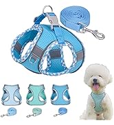 Reflective Puppy Dog Harness and Leash Set, Soft Breathable Lightweight Pet Vest Cat Halter for X...