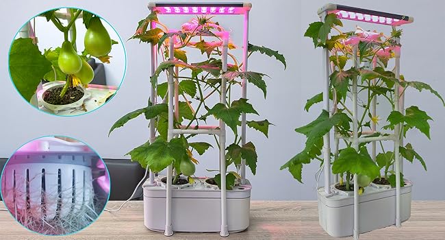 hydroponics growing system kit tall