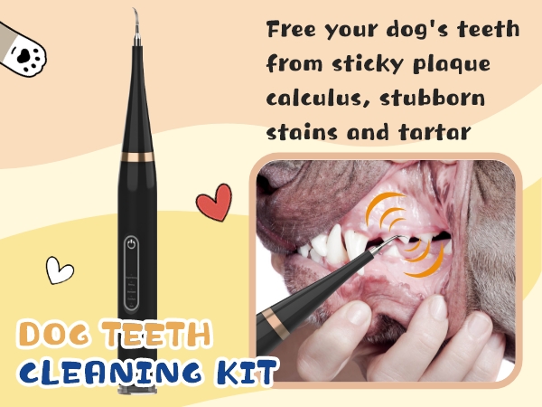 Plaque Remover for Teeth