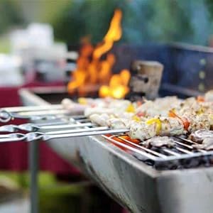 Metal skewers for Grilling