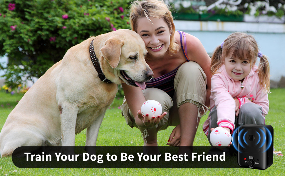 antibarking device for dogs