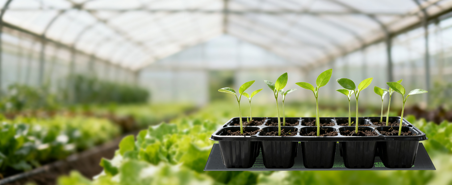 thermostat controller