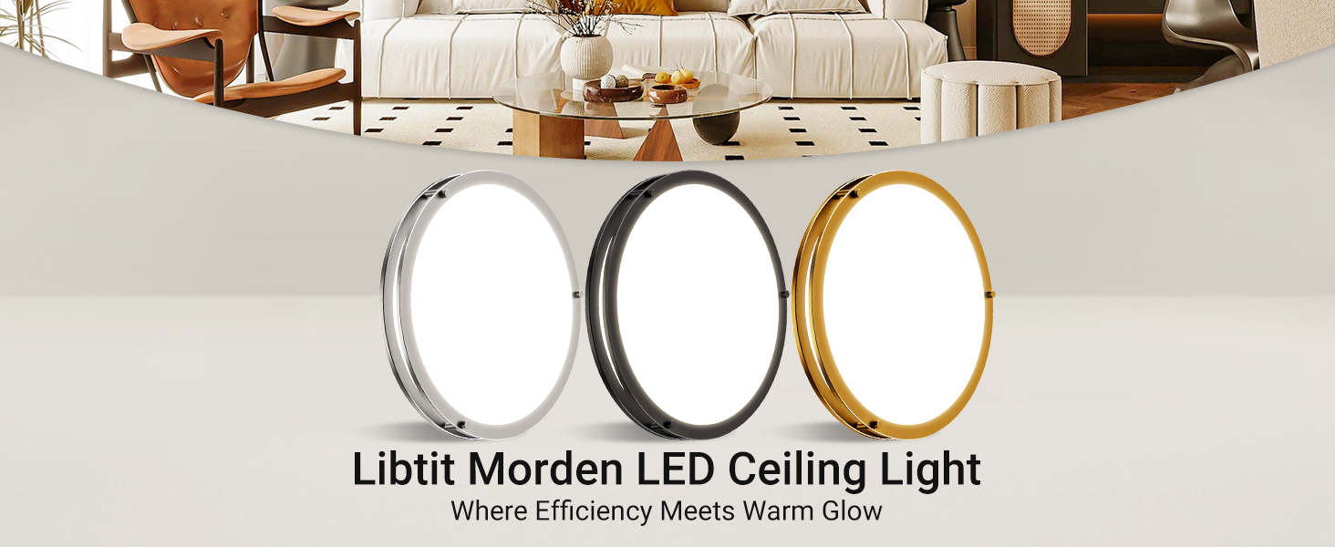 morden ceiling light fixture