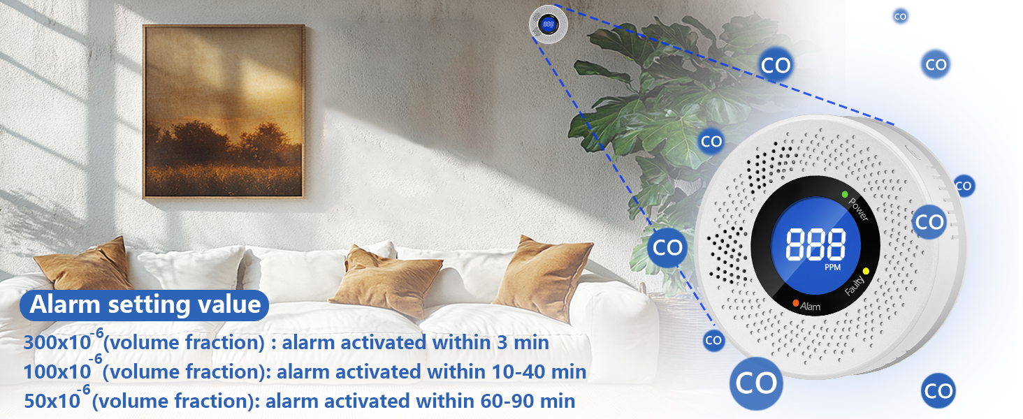 carbon monoxide detector