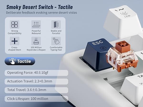 Smoky Desert Switch - Tactile