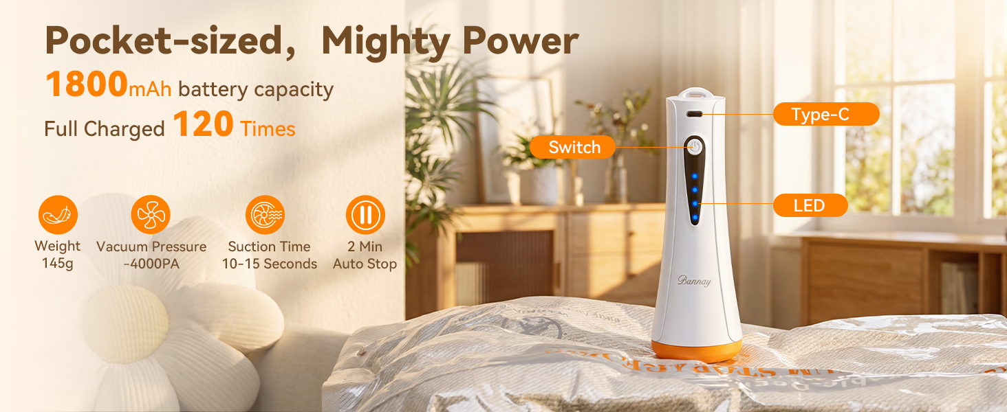 rechargeable vacuum pump