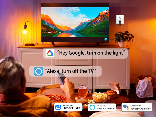 AiSeek Voice Control